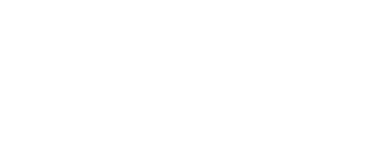 Zens Global